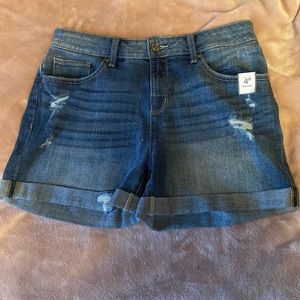 Time and Tru Blue Jean Shorts